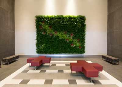 Photo of interior lobby in Ft Lee with living wall art and red cross benched